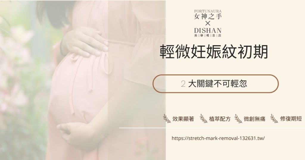 輕微妊娠紋初期